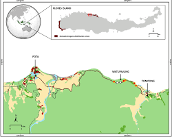 Image of Komodo Dragon protected area