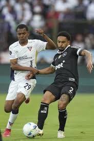 ¡Bomba en la Libertadores! ¿Botafogo a Cuartos? Acá te Contamos Todo - Imagen principal del artículo