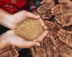 Food crisisの画像