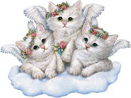 Résultat de recherche d'images pour "dessins chats"