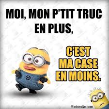 Résultat de recherche d'images pour "citation humoristique minion"