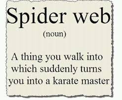 Life-Love-Quotes-Spider-Web-Noun.jpg via Relatably.com