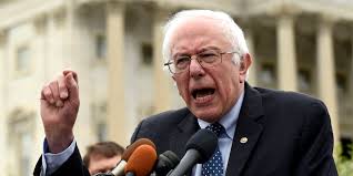 Image result for bernie sanders