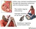 Toxoplasma gondii pregnancy