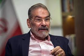 استوری دختر شهید شادمانی درباره انتشار فیلم عروسی دختر شمخانی +عکس