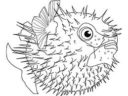 fish coloring pages ile ilgili görsel sonucu