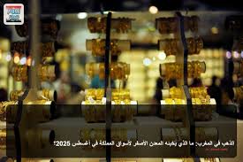 زووم مصر - News update