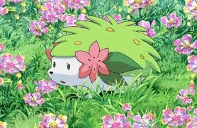 [Théorie] Les origines de Shaymin Images?q=tbn:ANd9GcTR46Par2CdEf9hYBV1wFIbO-PBjAlbMbnrU8QS6pLXYQdWSGQEdQ