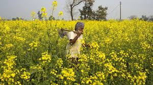 Hindustan - News update