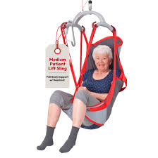Amazon.com: Molift RgoSling HighBack Padded Patient Lift ...