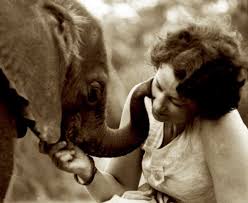 The empress of elephant orphans dies | MPR News