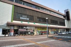 Picture of Furukawa Station