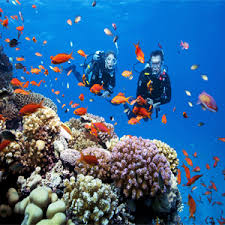 CÂU CÁ VỊNH NHA TRANG - 1