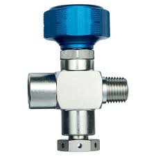 1/4" Male NPT x 1/4" Female NPT w/2850 psi Rupture Disk ...
