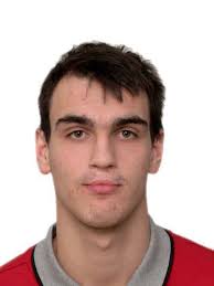 Résultat de recherche d'images pour "dario saric"