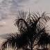 DarwinUFO baffles experts: Watch the video