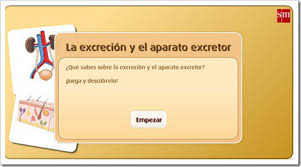 http://www.primaria.librosvivos.net/archivosCMS/3/3/16/usuarios/103294/9/6EP_Cono_cas_ud5_excrecion/frame_prim.swf