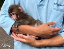 Post by Sticks2mini2rs (@sticks2mini2rs)