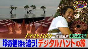 摩訶不思議…珍奇な植物だらけ！ボルネオ旅★超クレイジープラントハンター初登場！