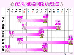 今日20日は静岡で桜が開花 東京は25日に満開予想 今年はお花見の計画はお早めに(気象予報士 福冨 里香 2026年03月20日)
