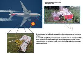 Image result for mh17 wings