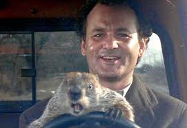 Groundhog Day 2015: The Memes You Need to See | Heavy.com via Relatably.com