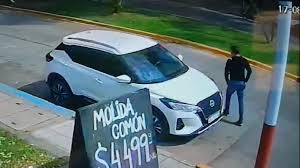 Cae el 