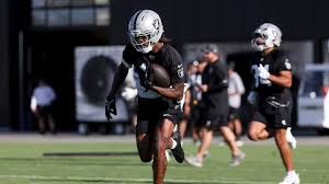 Las Vegas Raiders wide receiver Dont’e Thornton Jr. during an NFL game