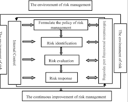 Risk management system