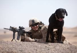 Πολεμικοί σκύλοι-συγκινητικές ιστορίες...