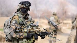 Image result for World Foreign Legions