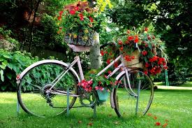 Resultado de imagen de primavera