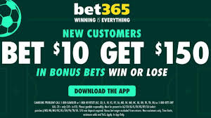 Trend Google: bet365