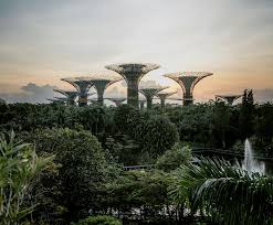 Does Singapore Design Need to Get a Little Less Comfortable?