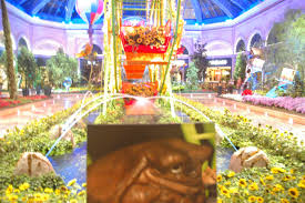 Image result for Military@T.H.E. MAMBA 3 POINT UNIVERSAL SLING