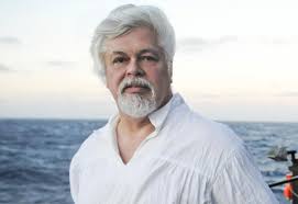 Sea Shepherd Conservation Society - News update