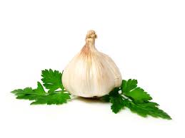 Image result for garlic