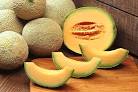 How to Grow Muskmelon or Cantaloupe - Harvest to Table