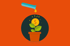 CSN Mineração pagará R$ 768,5 milhões em dividendos; veja quem recebe e quando