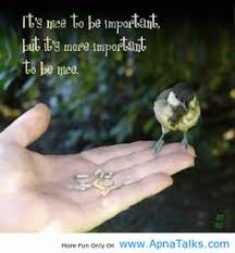 Bird Quotes on Pinterest | Birds, The Notebook and Charlotte ... via Relatably.com