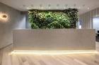 Reception counter design Sydney