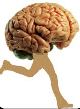 R&eacute;sultat de recherche d'images pour "vrai cerveau humain"