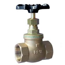 Globe Valves – Straight - Johnson Valves