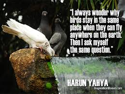 Bird Quotes Harun Yahya | Inspiration Boost via Relatably.com