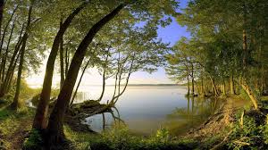 Image result for Amazing HD Nature Wallpapers For Desktop