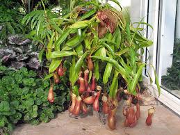 Image result for ehsq nagarjuna group