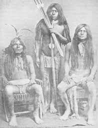 Image result for Comanche