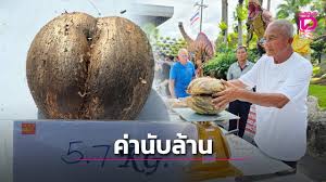 เดลินิวส์ - News update