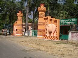 Image result for Picture of bhawal national park,Bangladesh