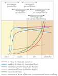 Definizione di Tecnopolimero dal dizionario gratuito di Babylon